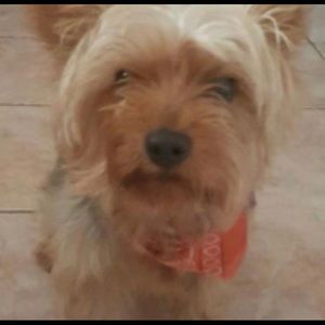 Meet your Posher, Barbara